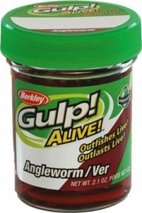 Berkley Gulp! Alive! Angle Worm