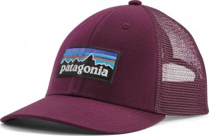 Patagonia P-6 Logo LoPro Trucker Hat, NTPL