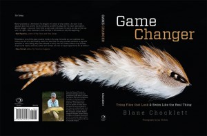 Buch Game Changer