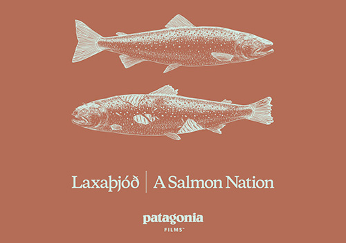 Patagonia Film: A Salmon Nation